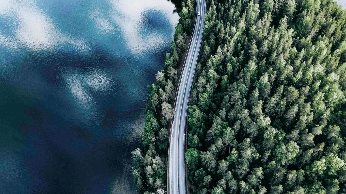 Road between lake and forrest