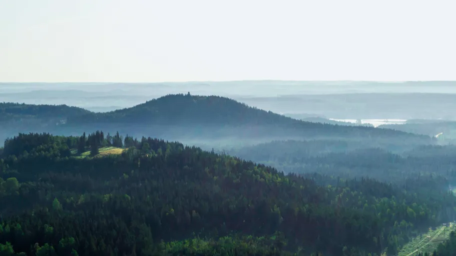 Forrest and horizon